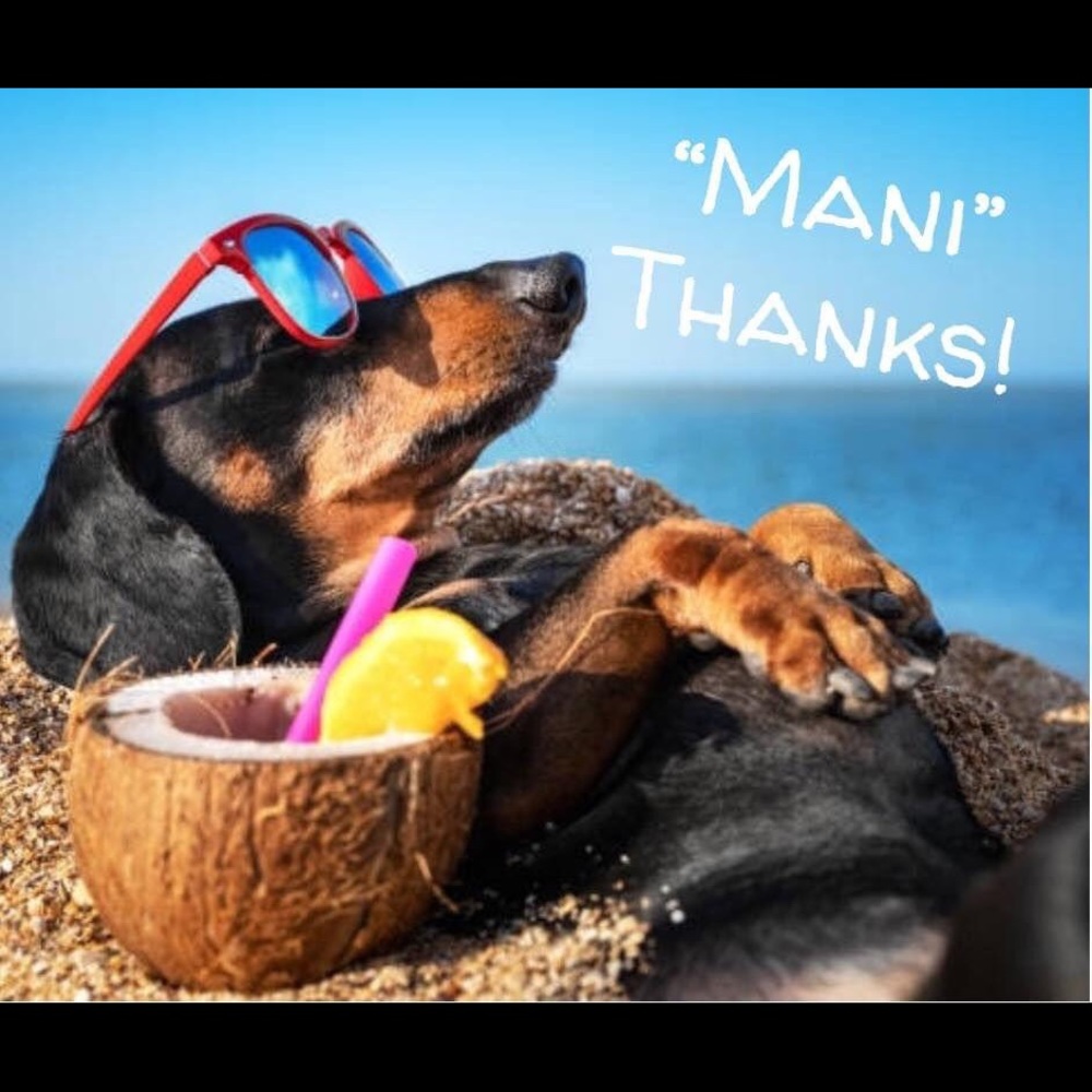 Meet your Posher, Dawn